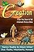 The Creation by Nancy Radke