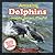 AMAZING DOLPHINS: A Children’s Book About Dolphins and their Amazing Facts, Figures, Pictures and Photos: (Animal Books For Kids)