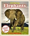 AMAZING ELEPHANTS...