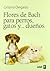 FLORES DE BACH PARA PERROS, GATOS Y… DUEÑOS (Plus Vitae) (Spanish Edition)