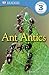Ant Antics