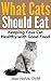 What Cats Should Eat: A Holistic Veterinarian's Guide to Feeding Your Cat