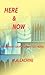 Here & Now (Rosemary Cooper Time Travel Mystery)