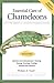 Essential Care of Chameleons (Advanced Vivarium Systems)