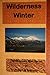 Wilderness Winter (The Mountain Man #3)