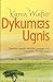 Dykumos ugnis