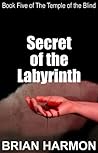 Secret of the Labyrinth (The Temple of the Blind #5) Book cover for Secret of the Labyrinth (The Temple of the Blind #5)