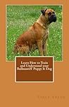 Learn How to Train and Understand your Bullmastiff Puppy & Dog