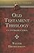 Old Testament Theology by Walter Brueggemann