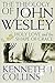 The Theology of John Wesley: Holy Love and the Shape of Grace