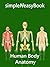 Learn Human Body Anatomy by GoLearningBus