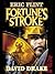 Fortune's Stroke by Eric Flint
