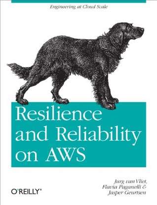 Resilience and Reliability on AWS: Engineering at Cloud Scale (Kindle Edition)