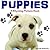 Puppies - A Rhyming Children's Picture Book ( Fun Ebooks For Kids )