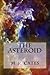 The Asteroid by M.R. Cates