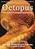 Octopus: The Ocean's Intelligent Invertebrate