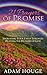 21 Prayers Of Promise by Adam Houge