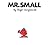 Mr. Small