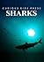 Sharks - Amazing Facts about Sharks | Kids Picture Book