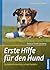 Erste Hilfe für den Hund: Symptome erkennen, schnell handeln (Praxiswissen Hund) (German Edition)