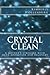 Crystal Clean: A mother's struggle with meth addiction and recovery