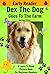Dex The Dog Goes To The Farm