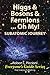 Higgs & Bosons & Fermions, ...