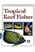 Tropical Reef Fishes: Perip...