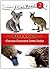Curious Creatures Down Under: Level 2 (I Can Read! / Made By God)