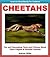 Cheetahs - Fun and Fascinating Facts and Pictures About These... by Andrew Miller