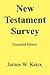 New Testament Survey