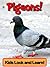 Pigeons! Learn About Pigeons and Enjoy Colorful Pictures - Look and Learn! (50+ Photos of Pigeons)