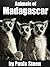Animals of Madagascar: Kids Book about the Lemur and other Madagascar Animals