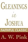 Gleanings in Joshua