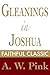 Gleanings in Joshua (Arthur Pink Collection Book 28)