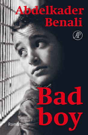 Bad Boy (Paperback)