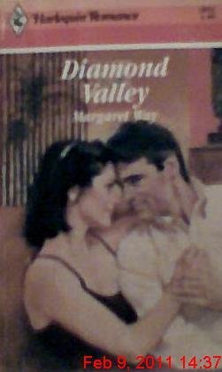 Diamond Valley (Paperback)