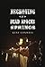 Reckoning at Dead Apache Springs by Kent Conwell
