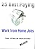 Work at Home Jobs: The 25 Best Paying Home Business Ideas
