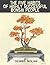 The Five Habits of Highly Successful Bonsai People