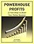 Powerhouse Profits: 15 Fast Ways to Boost Your Online Revenue: Basics for Beginners (Marketing Matters)