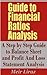 Guide to Financial Ratios Analysis - A Step by Step Guide to Balance Sheet and Profit and Loss Statement Analysis