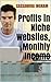 Profits in Niche Websites, ...