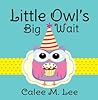 Little Owl's Big ...