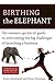 Birthing the Elephant: The Woman's Go-For-It! Guide to Overcoming the Big Challenges of Launching a Business