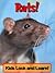 Rats! Learn About Rats and Enjoy Colorful Pictures - Look and Learn! (50+ Photos of Rats)