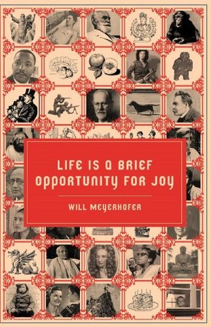 Life is a Brief Opportunity for Joy (Kindle Edition)