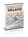 The Scoundrel's Essential Survival Guide: Anarchy and Collapse