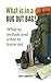 What is in a bug out bag? W...