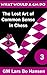 The Lost Art of Common Sense in Chess (Master Chess Book 3)
